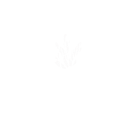 Circular text